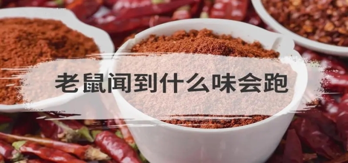老鼠讨厌什么气味东西 