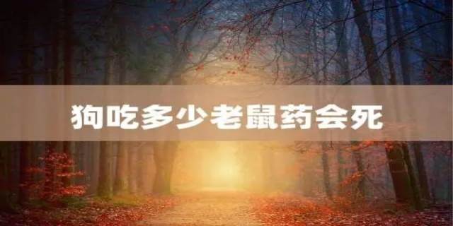 狗吃了老鼠药多久发作死亡