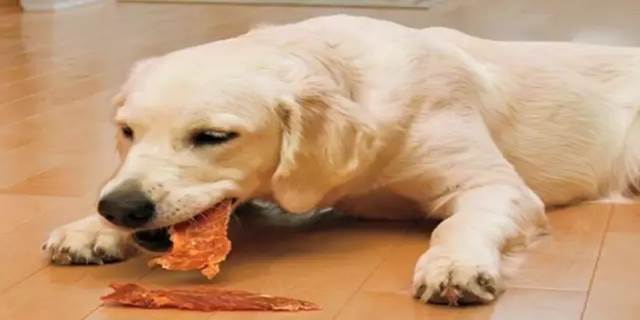 狗能吃羊肉吗