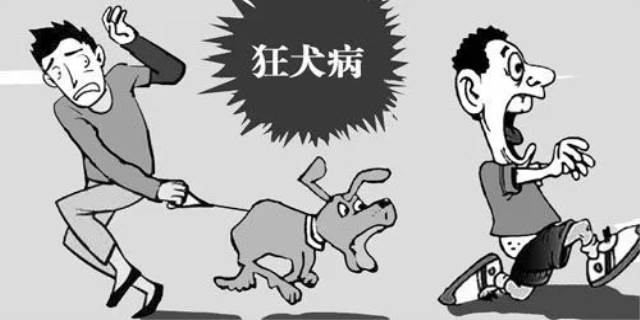 什么狗有狂犬病