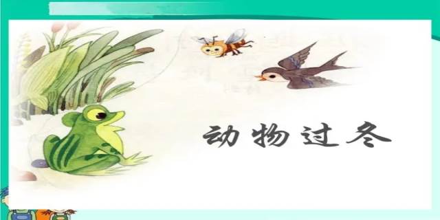 小动物的过冬方式