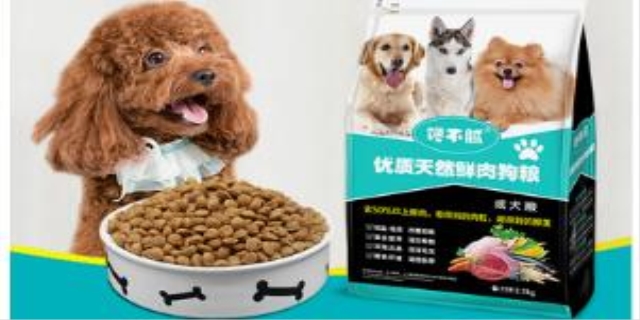 泰迪狗胰腺炎早期症状