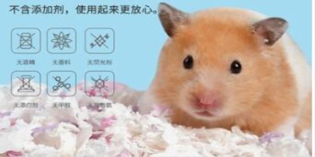 仓鼠笼一定要垫东西吗