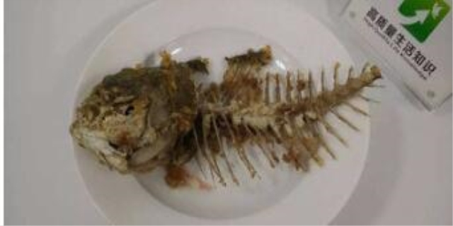 小猫吃鱼会被鱼刺卡吗