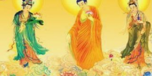 动物缘好的人阴德好