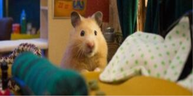  仓鼠一直发抖是怎么了