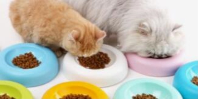 猫粮含有哪些成分一定不要买