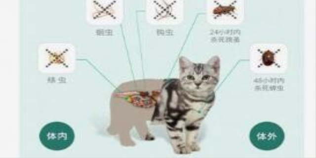 怎么判断猫得了弓形虫