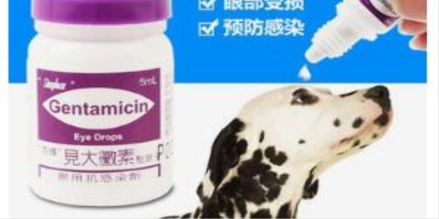 人用的眼药水能给猫用吗